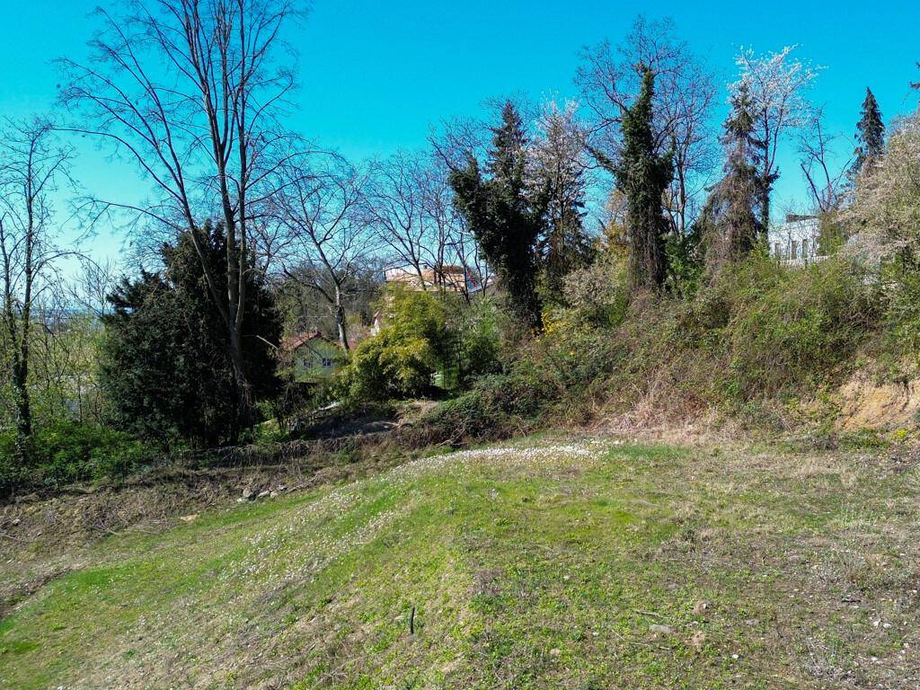 Grünes Hanggrundstück mit Bäumen und Sträuchern, ideal für naturnahes Wohnen mit Fernblick.