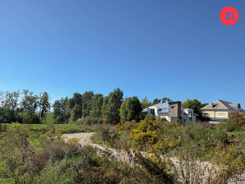 Weitläufige Landschaft mit vereinzelten Häusern und viel Grün unter klarem blauem Himmel.