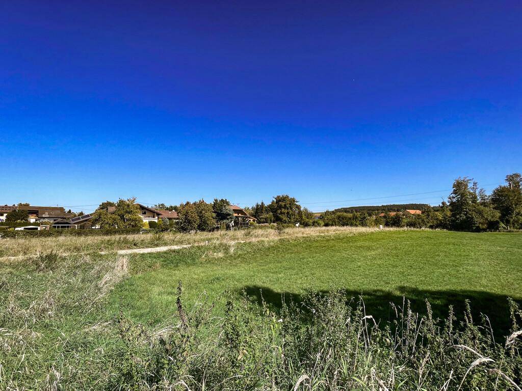 Weitläufige grüne Wiesenlandschaft mit vereinzelten Häusern am Horizont unter blauem Himmel.