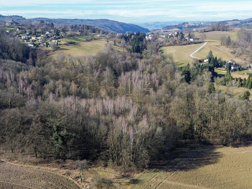 Luftaufnahme einer abwechslungsreichen Landschaft mit Feldern, Wäldern und einem gewundenen Weg.