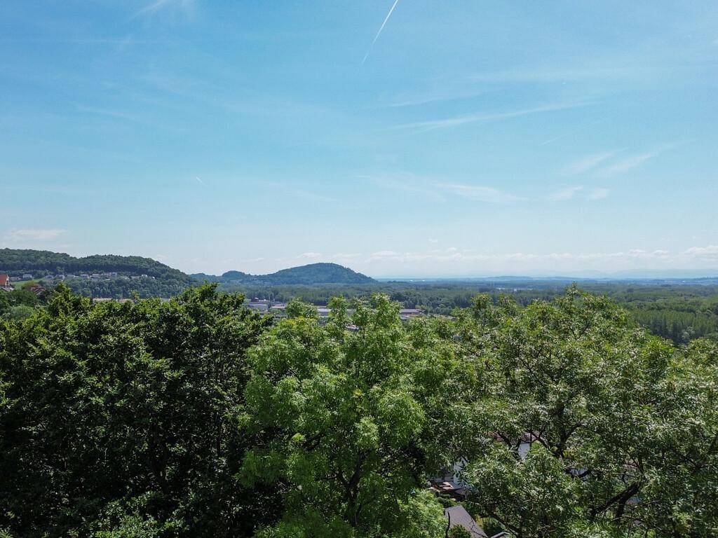 Panoramablick über eine weite Baumlandschaft mit sanften Hügeln und Bergen in der Ferne.