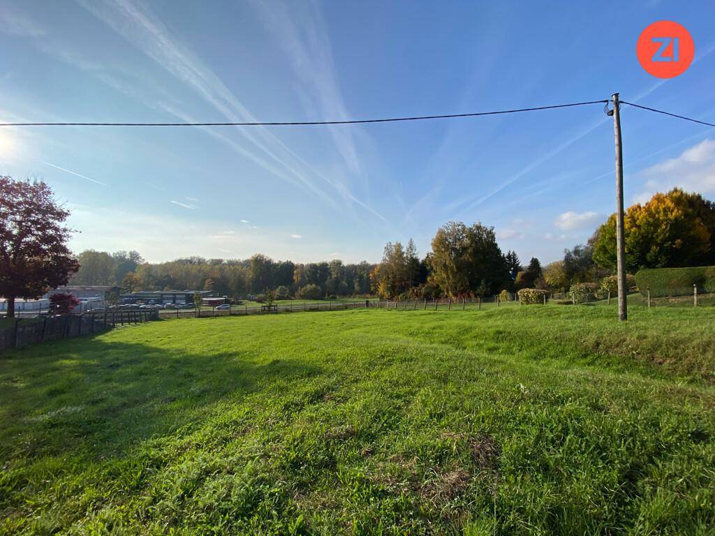Sonnige Wiese mit weitem Blick auf bewaldete Flächen und einen blauen Himmel.