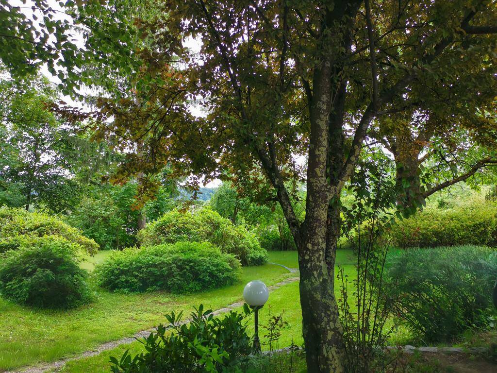 Gepflegter Garten mit Rasenflächen, verschiedenen Sträuchern und einem Kiesweg unter hohen Bäumen.