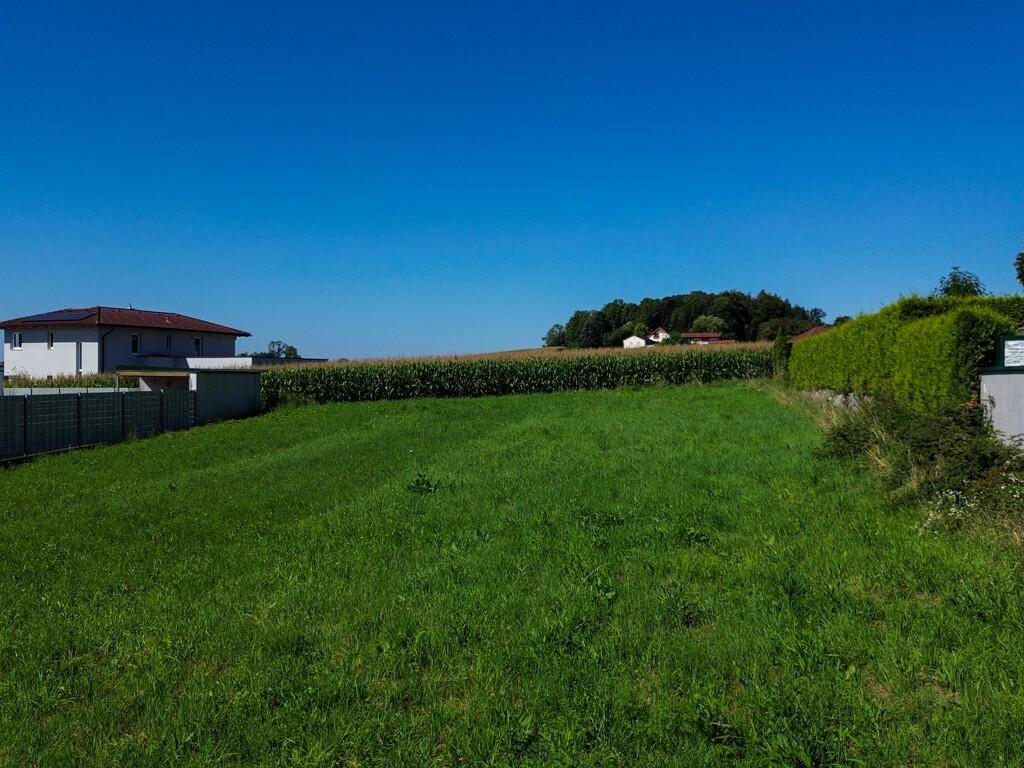 DJI_0190