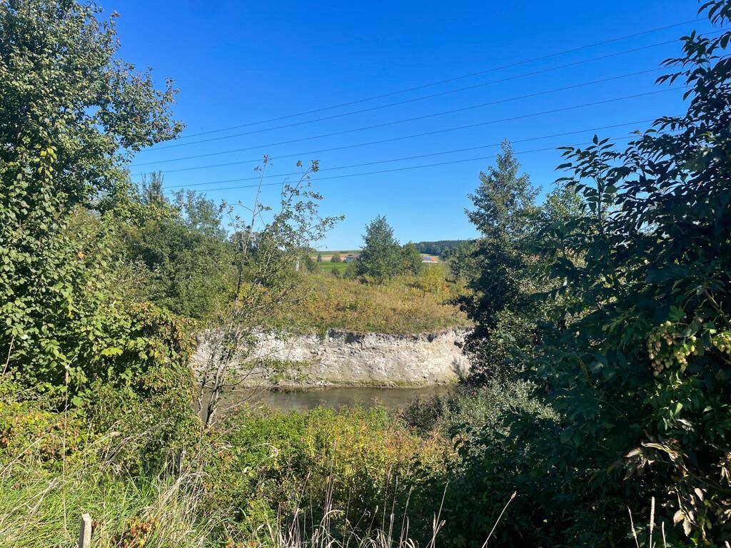 Natürliche Wasserstelle umgeben von üppigem Grün und Bäumen unter einem hellblauen Himmel.