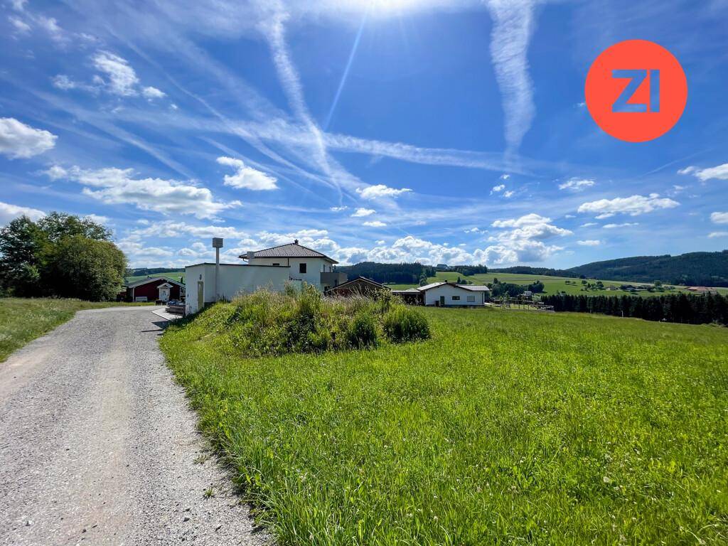 Ein Schotterweg führt bergauf zu einem Haus, umgeben von weiten grünen Wiesen und Wäldern.