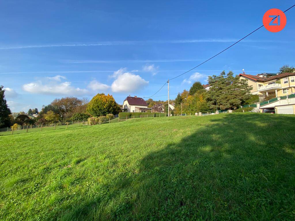 Weitläufige grüne Wiese mit Blick auf die umliegende Wohnbebauung unter einem klaren blauen Himmel.