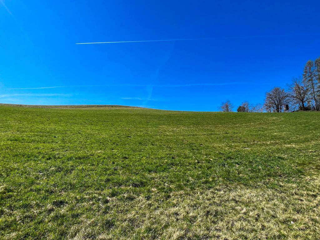 Weite grüne Wiesen unter blauem Himmel, typisch für die ländliche Umgebung.
