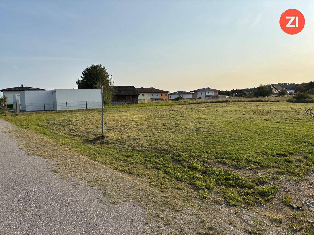 Weitläufiges, grünes Grundstück mit einer Straße im Vordergrund und Wohnhäusern im Hintergrund.