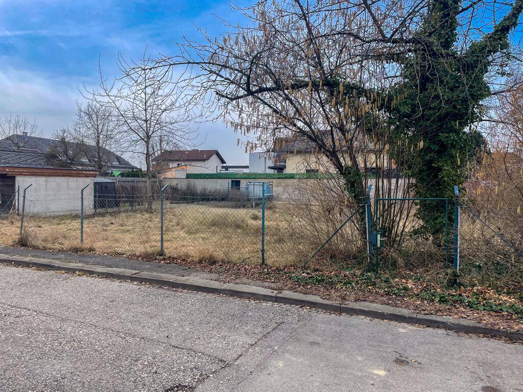 Freies Baugrundstück mit alter Bepflanzung und angrenzender Straße in ländlicher Umgebung.