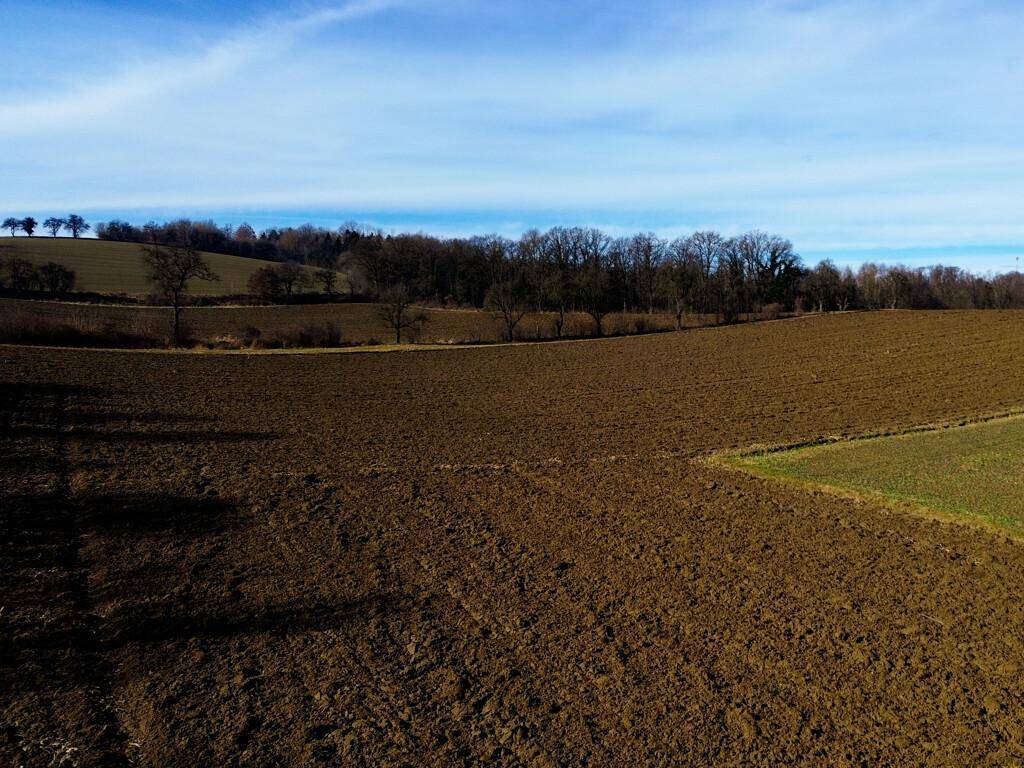 Weitläufiges, frisch gepflügtes Feld mit einer Baumreihe am Horizont unter blauem Himmel.