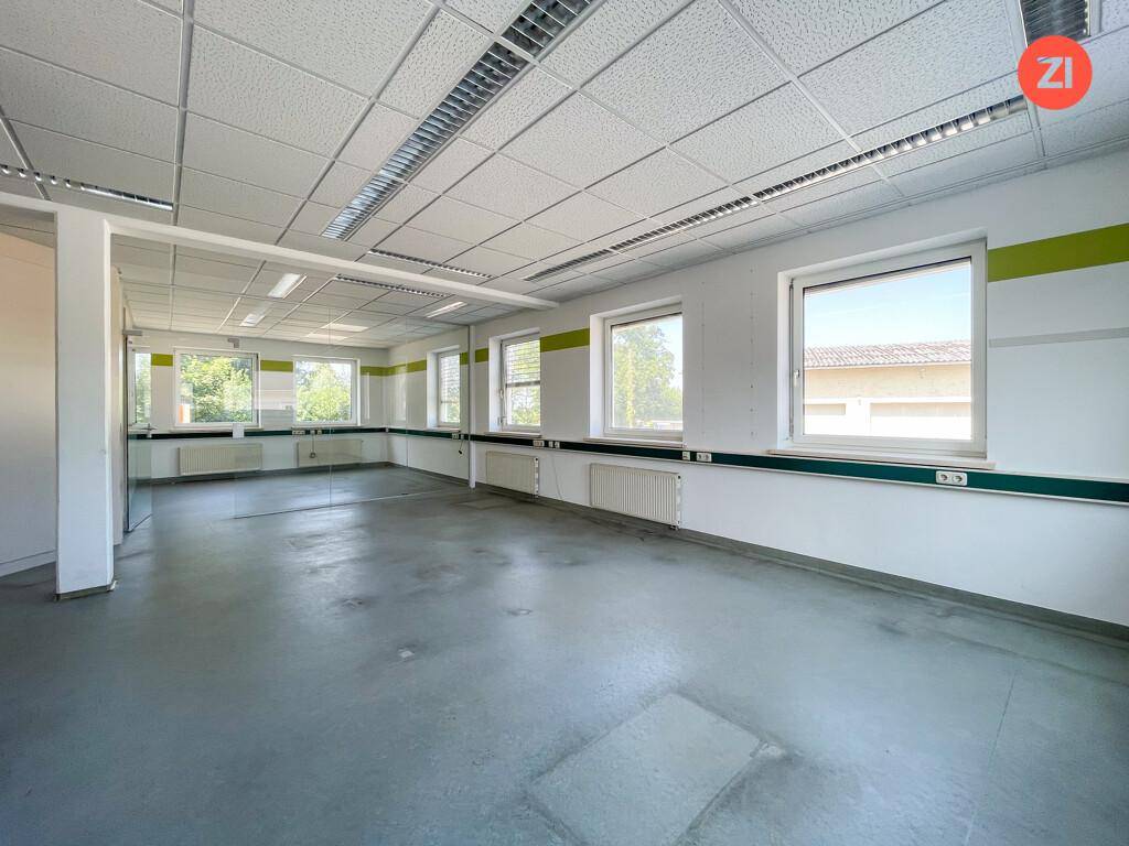 Geräumiger, leerer Raum mit Betonboden und vielen Fenstern, geeignet für verschiedene geschäftliche Nutzungen.