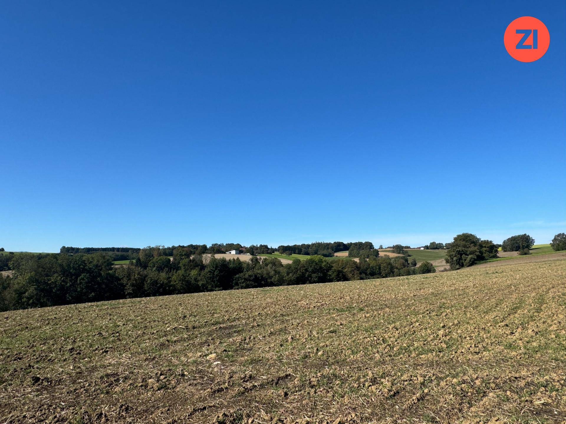 Blick über ein weites Feld mit vereinzelten Bäumen und einer Baumreihe am Horizont unter blauem Himmel.
