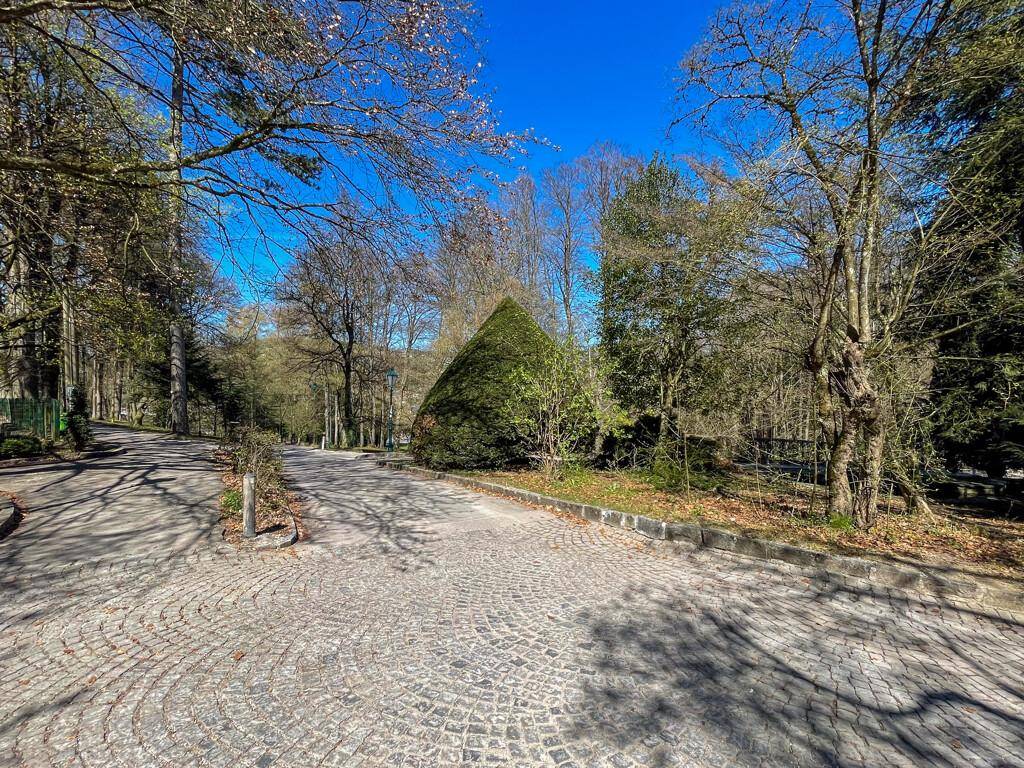 Gepflasterter Weg führt durch einen Wald mit hohen Bäumen und einem markanten kegelförmigen Busch.