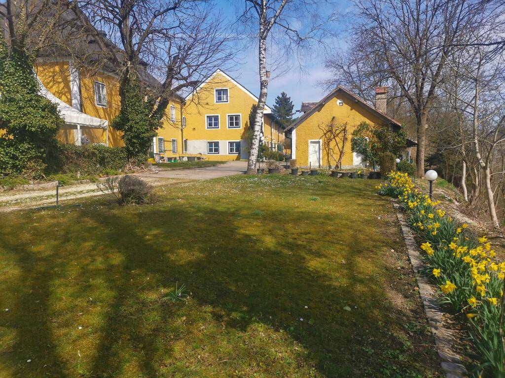 Großer Gartenbereich mit Rasenfläche, blühenden Narzissen und historischen Gebäuden im Hintergrund.