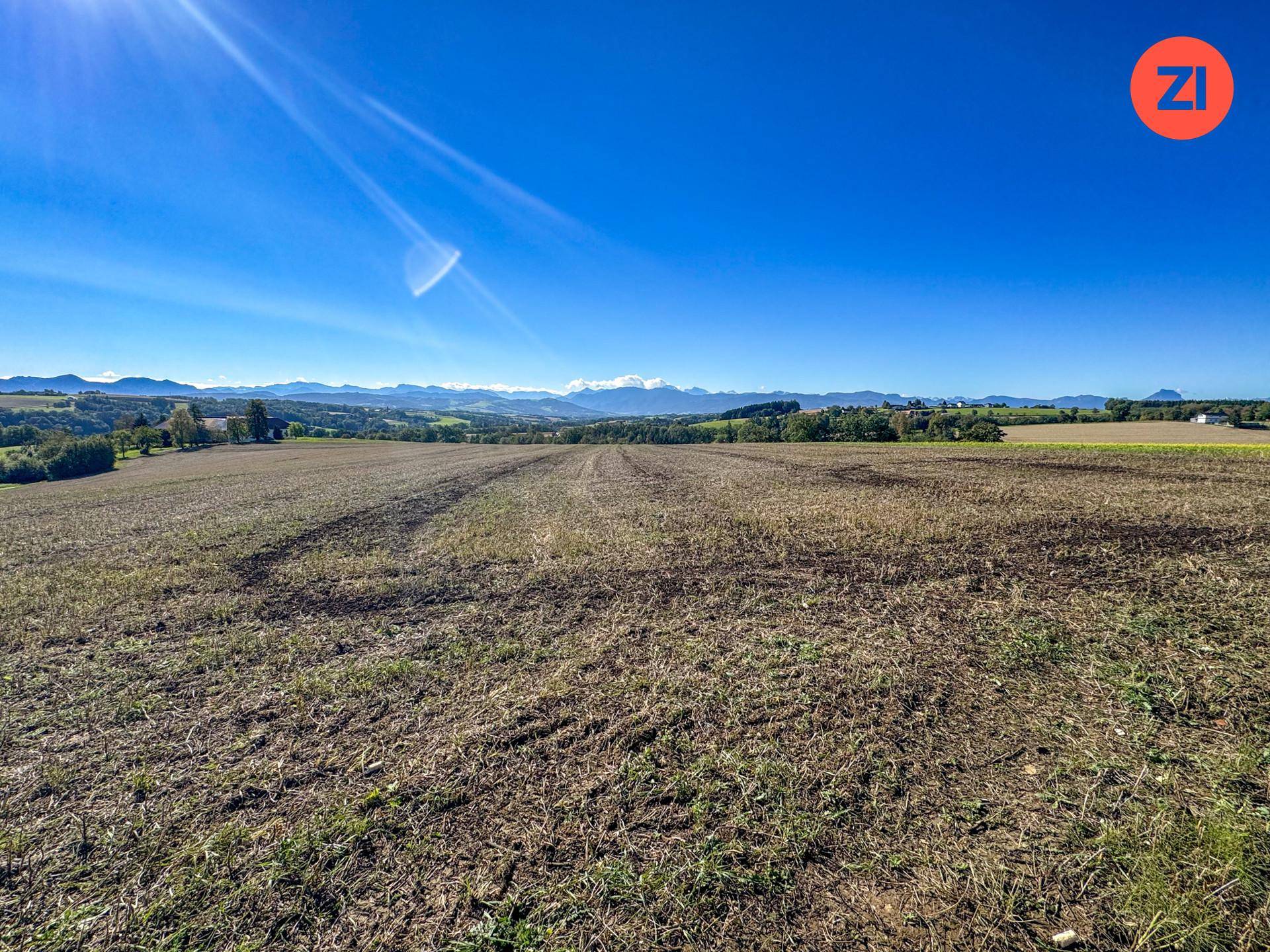 Weite Ackerflächen unter strahlend blauem Himmel, mit einer sanften Hügellandschaft und Bergen am Horizont.