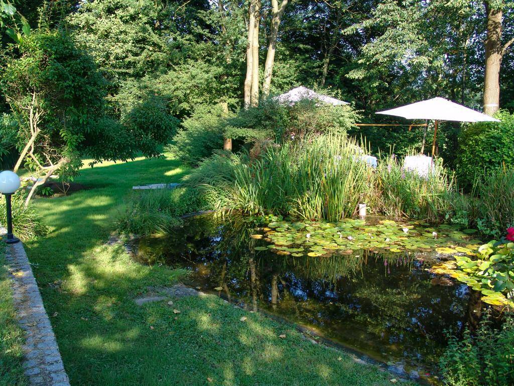 Ruhiger Gartenbereich mit einem Teich voller Seerosen, umgeben von üppiger Vegetation und hohen Bäumen.