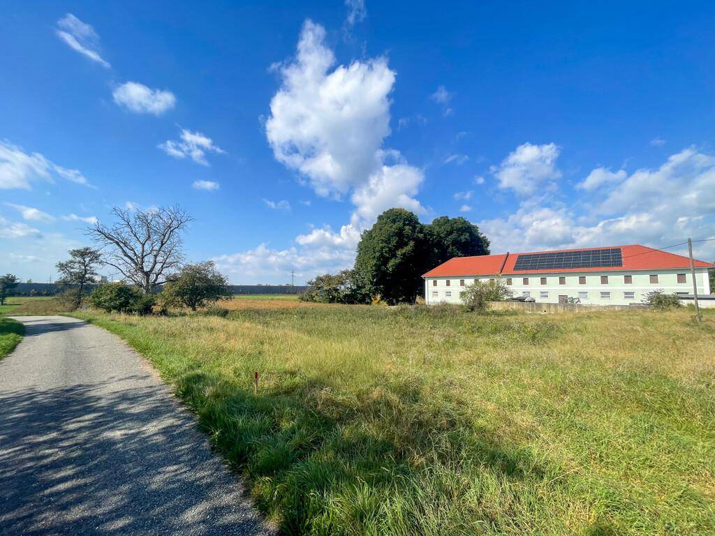 Weitläufiges Wiesengrundstück mit Gebäude, rotem Dach und Solaranlage unter blauem Himmel.