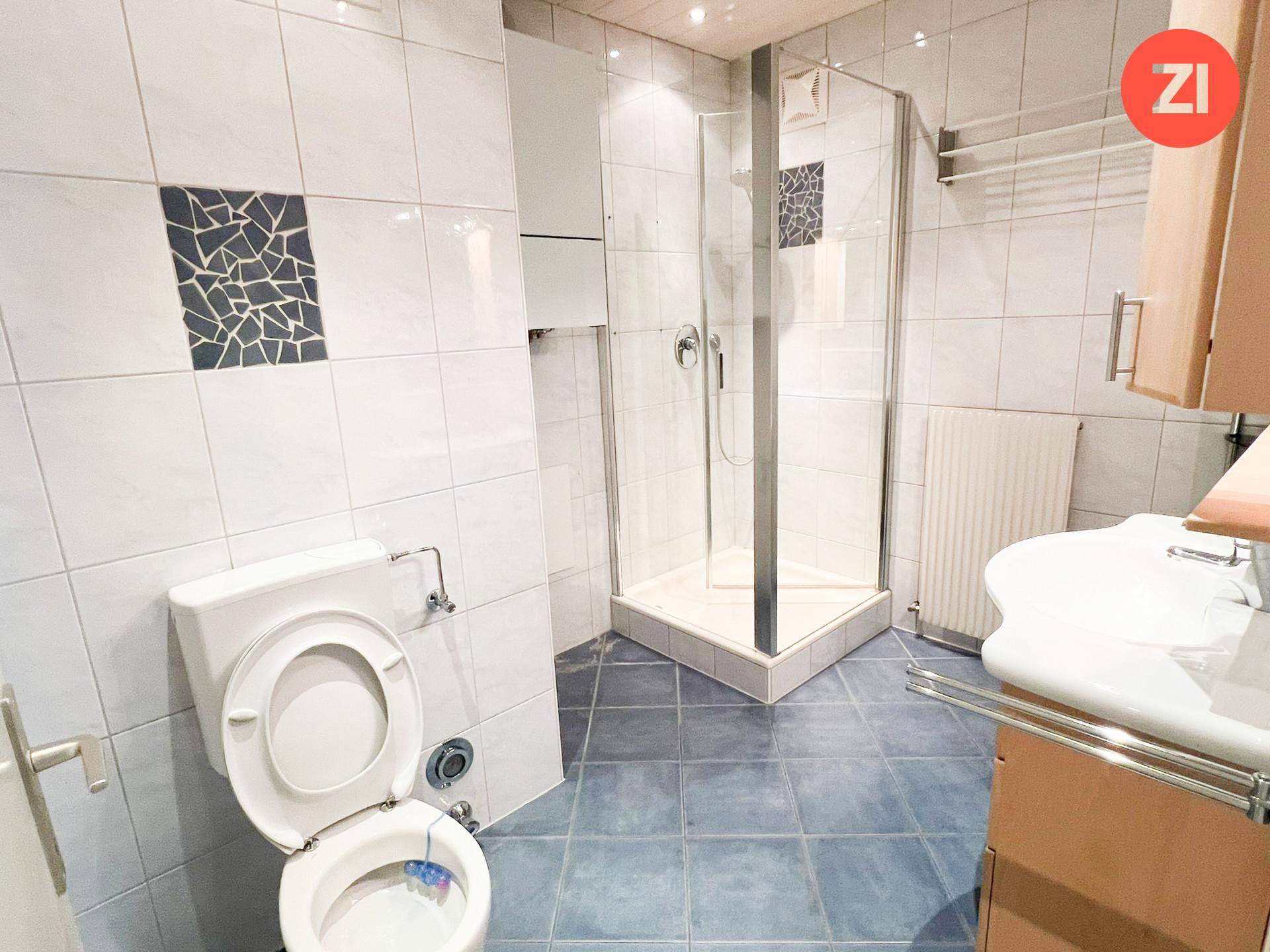 Badezimmer mit blauen Bodenfliesen, weißen Wandfliesen, Eckdusche und WC.