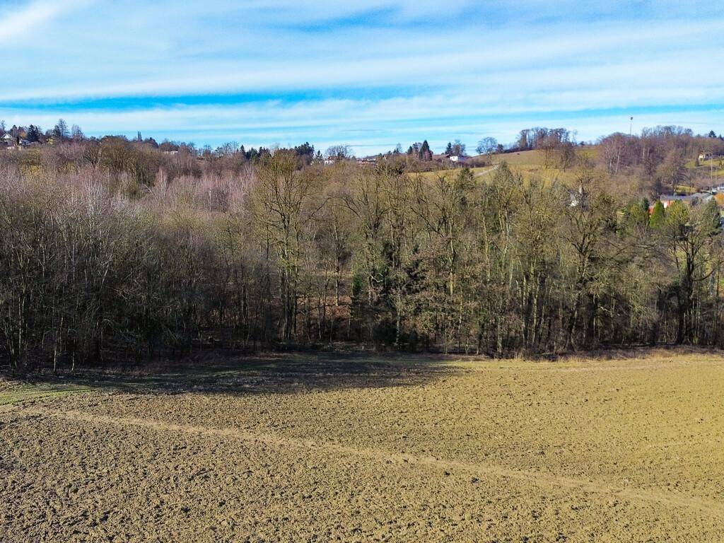 Ackerland grenzt an einen Waldrand mit Blick auf eine Siedlung in der hügeligen Landschaft.