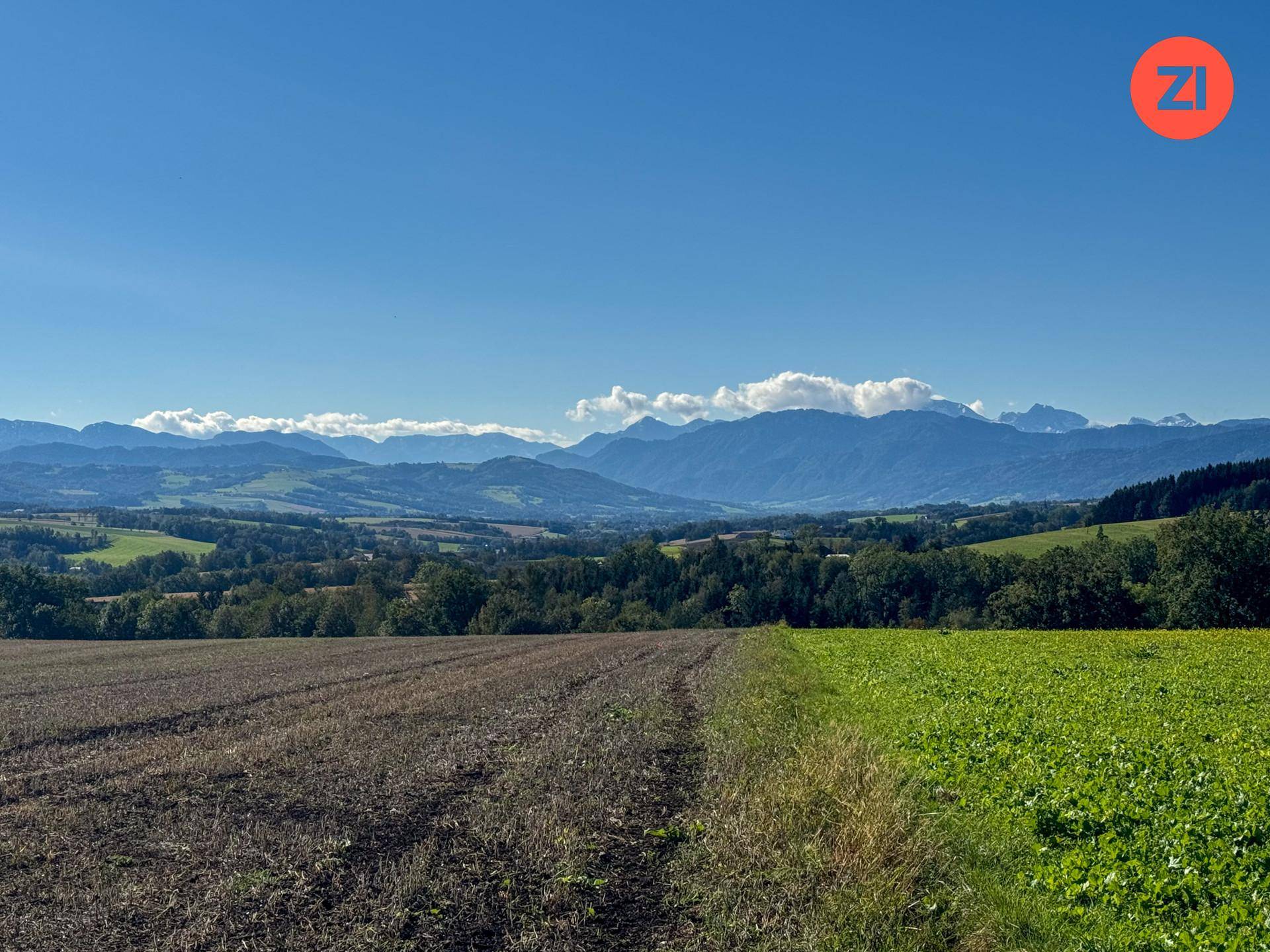 Weitläufige Landschaft mit Feldern und Wäldern, im Hintergrund erheben sich majestätische Berge unter blauem Himmel.
