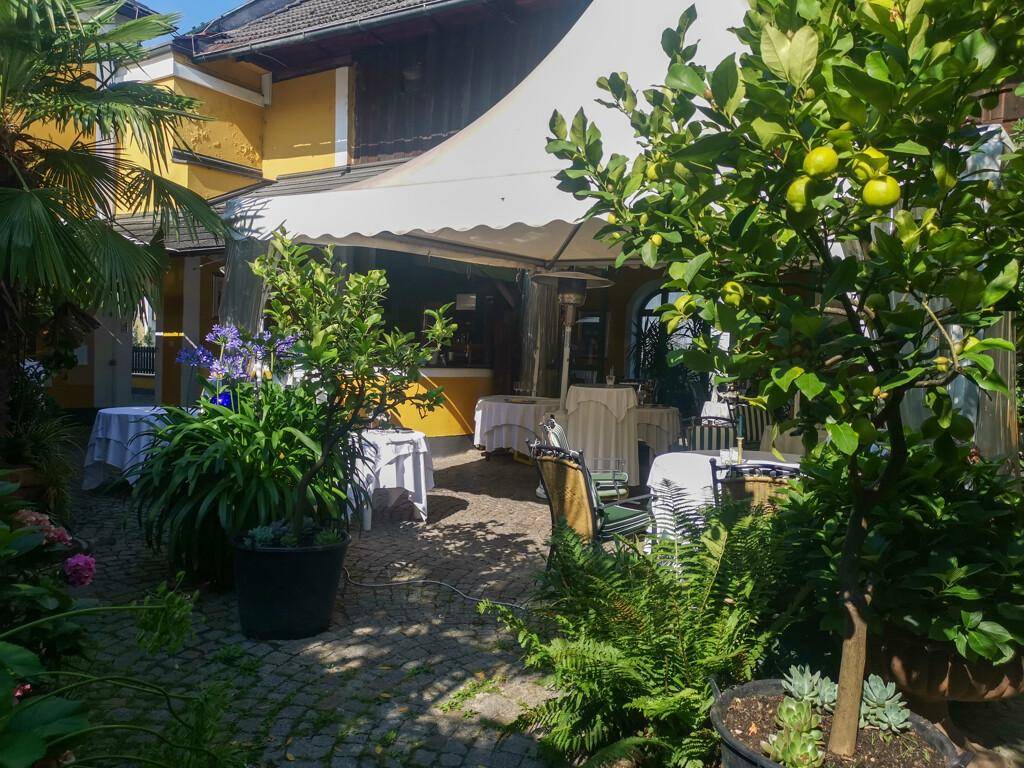 Sonniger Außenbereich mit Tischen unter einem Sonnensegel, umgeben von mediterranen Pflanzen und Zitronenbäumen.