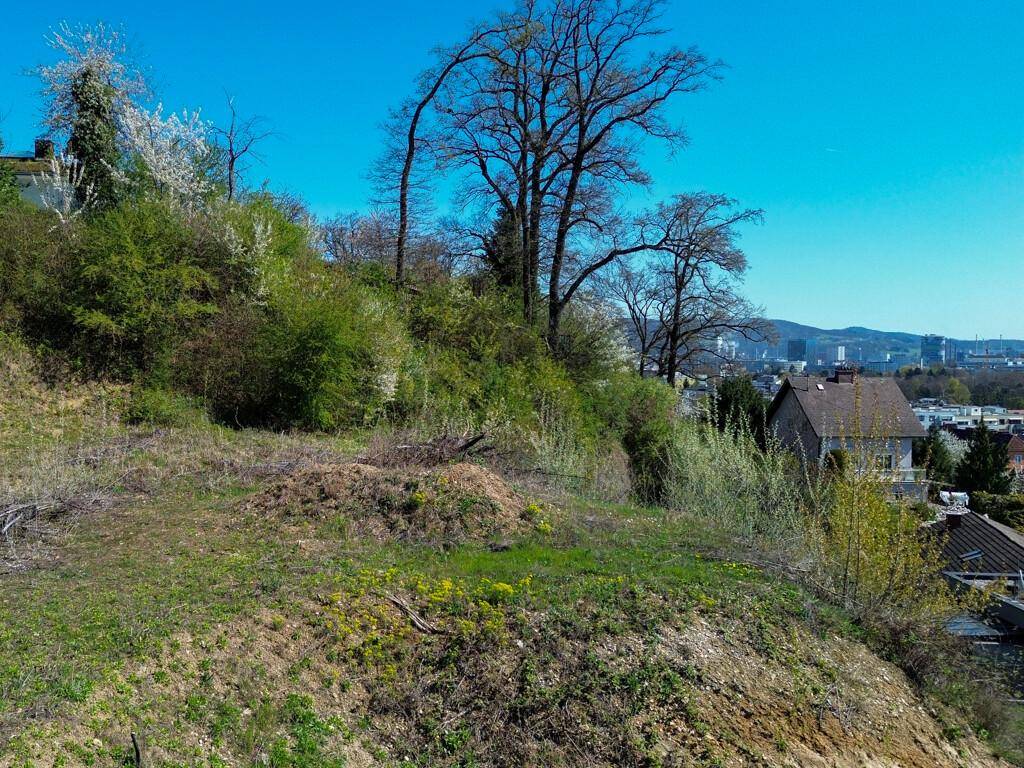 Naturbelassenes Hanggrundstück mit dichter Vegetation und einem Ausblick auf die umliegende Stadt.