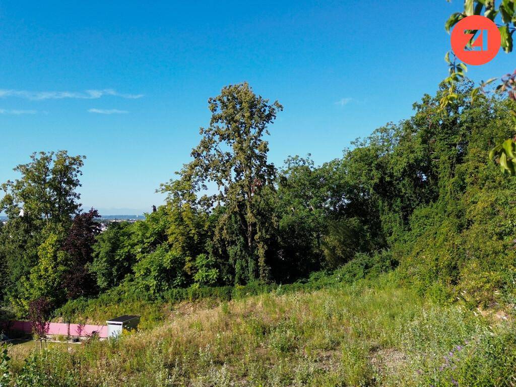 Grüne Hügellandschaft mit Bäumen, Gras und einem kleinen Schuppen im Hintergrund.