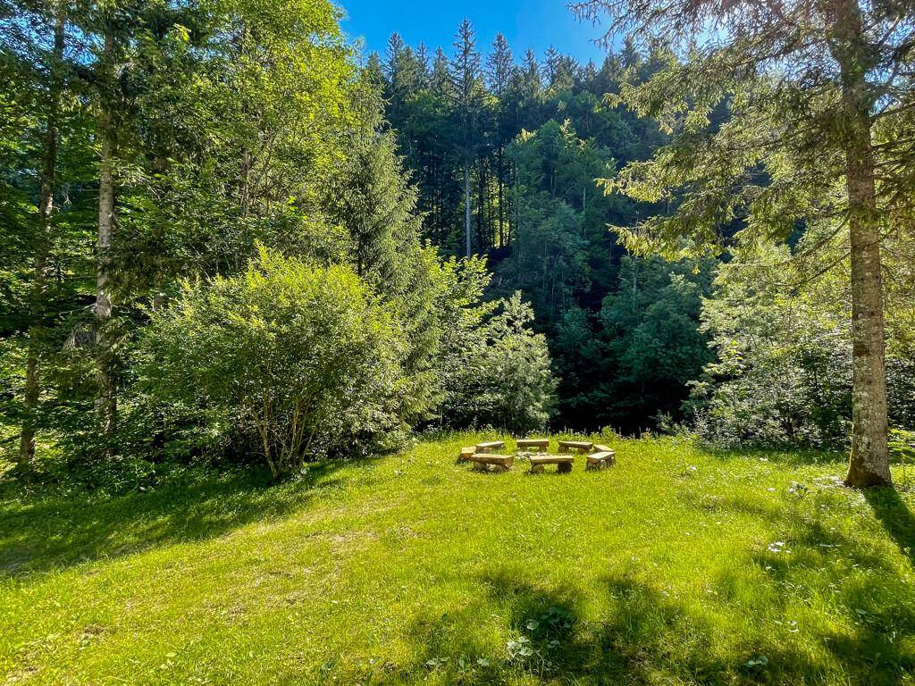 Grüne Gartenfläche mit Feuerstelle und Sitzgelegenheiten, umgeben von dichtem Wald unter blauem Himmel.