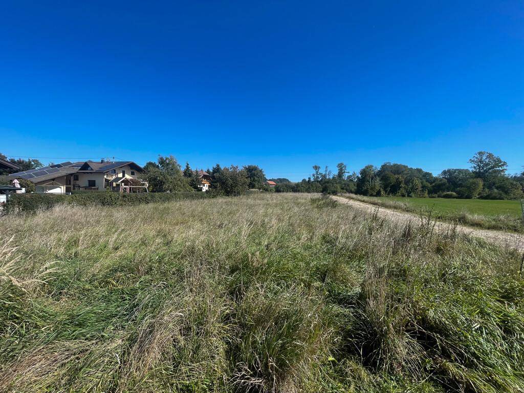 Weite Wiesenlandschaft mit hohen Gräsern und Häusern in der Ferne unter blauem Himmel.