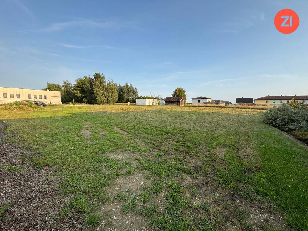 Großes, offenes Grundstück mit Grasfläche, umgeben von Bäumen und einigen Gebäuden in der Ferne.