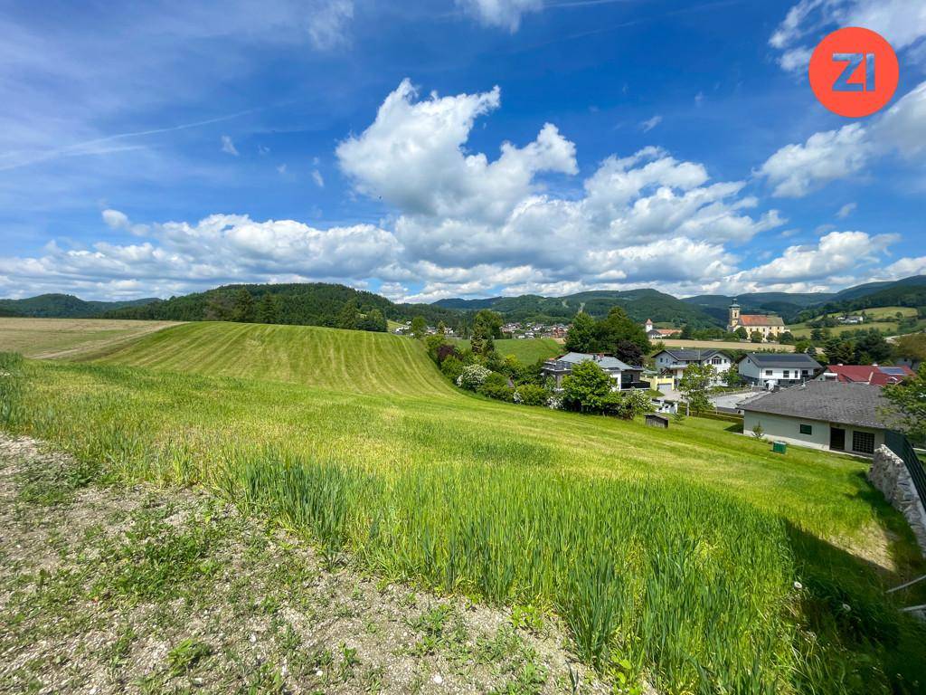 Idyllische ländliche Umgebung mit weiten Feldern, Häusern und einer Kirche am Horizont.