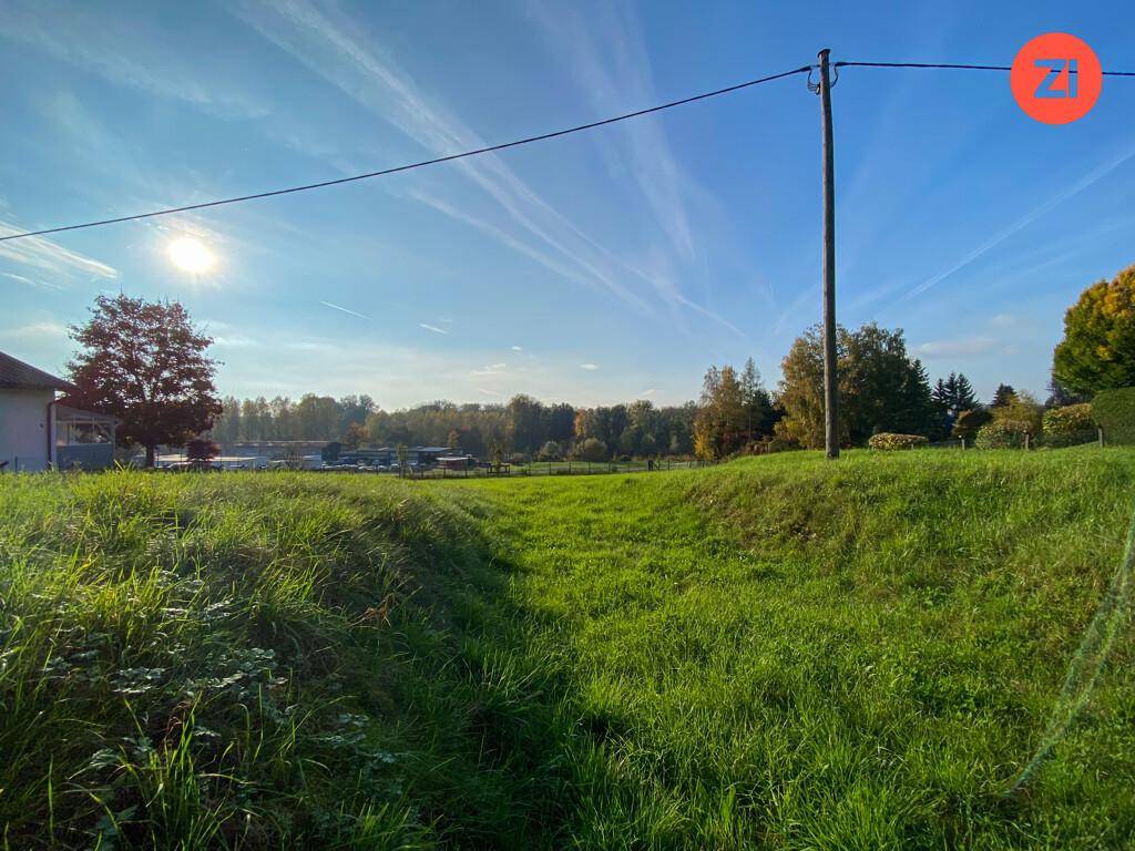 Sonniger Blick über ein grünes Grundstück mit einer Senke und Bäumen in der Ferne.