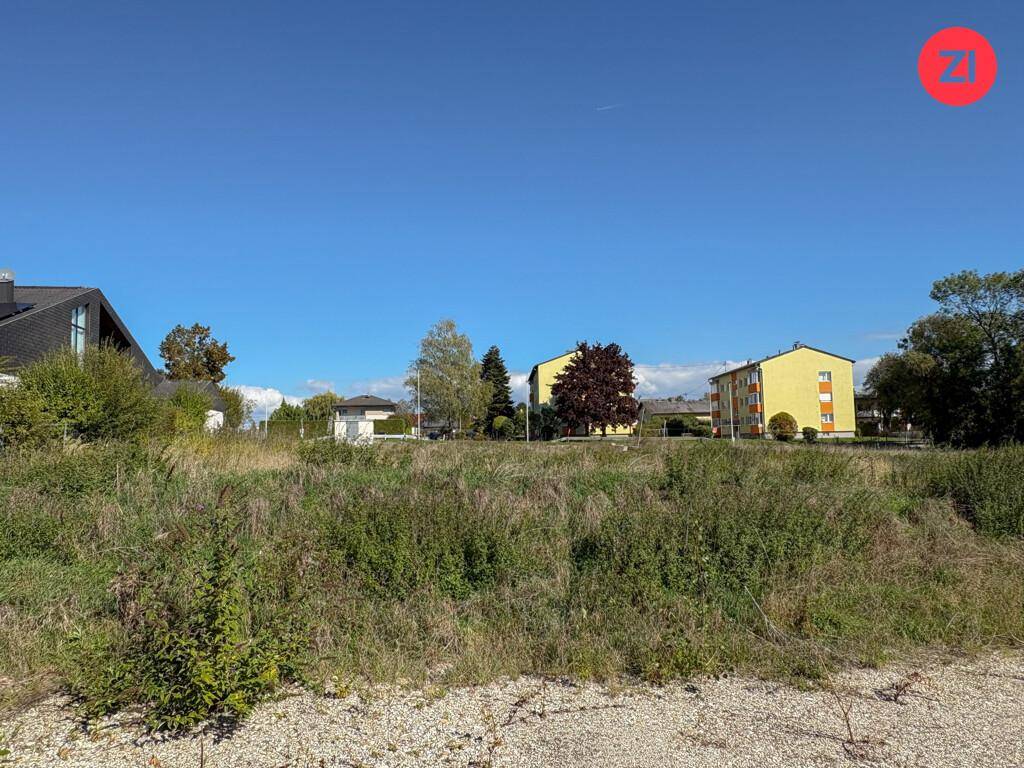 Unbebautes Grundstück mit Wohngebäuden und Bäumen im Hintergrund unter blauem Himmel.