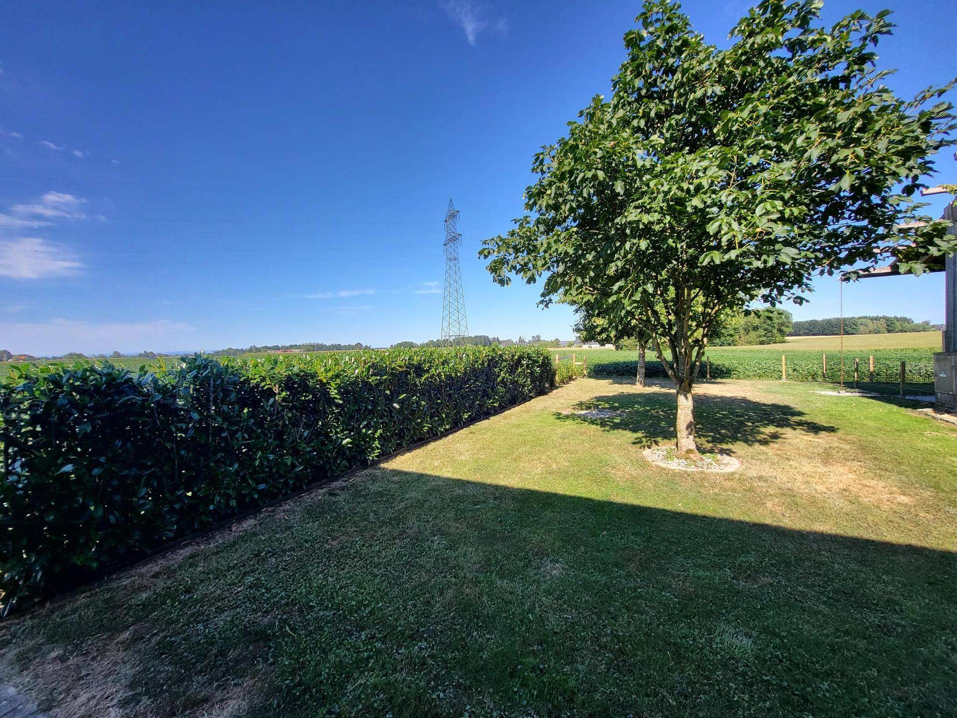 Garten mit gepflegtem Rasen und hoher Hecke, bietet einen weiten Blick über die Felder bis zum Horizont.