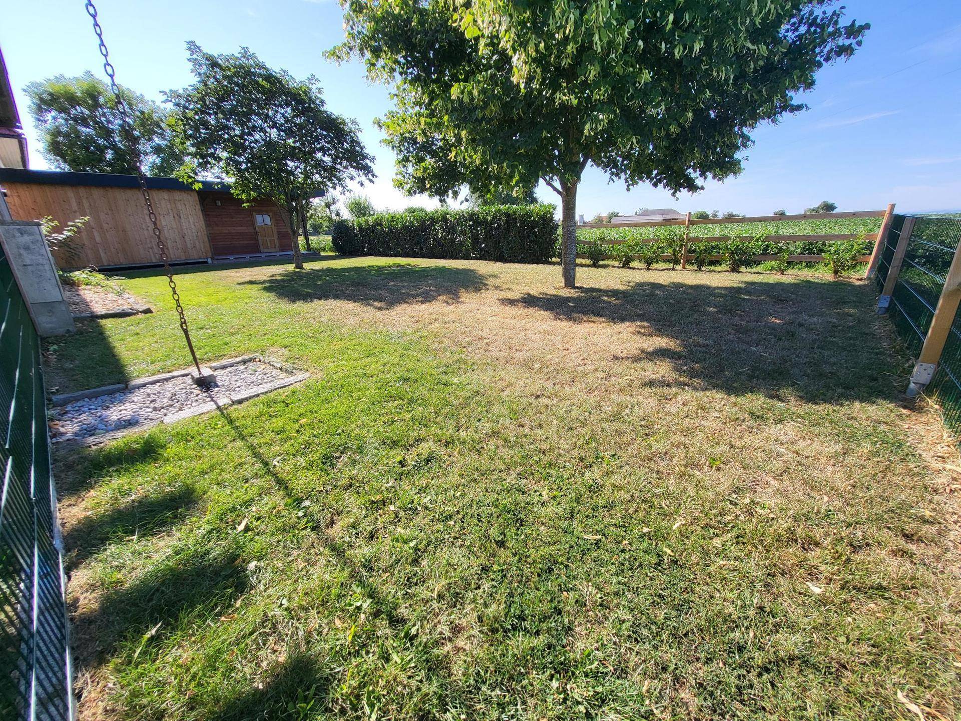 Weitläufiger Gartenbereich mit Rasen, Bäumen und einer Hecke, der viel Platz für Erholung bietet.