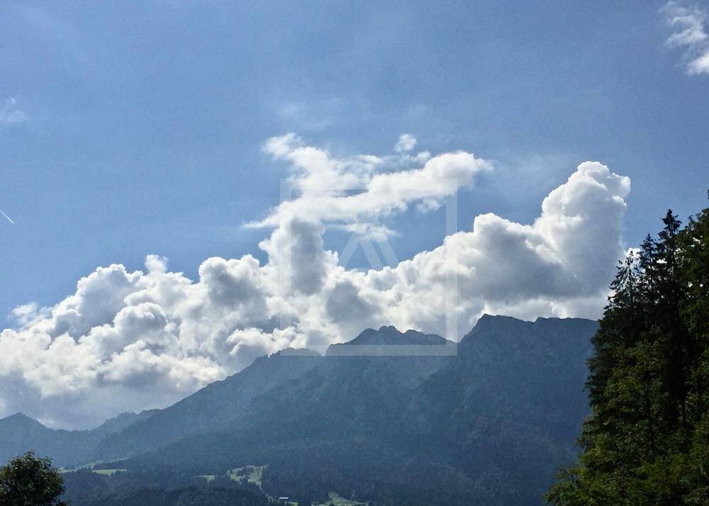 Ausblick