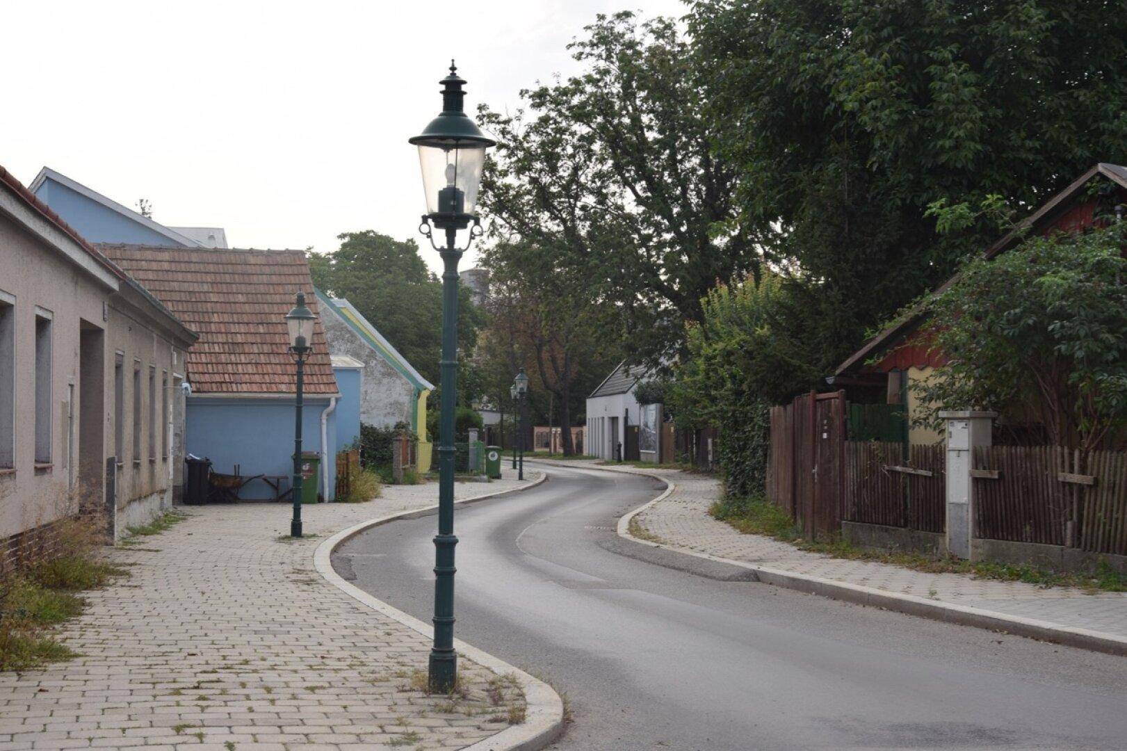 Ruhige Wohnstraße mit gepflastertem Gehweg, alten Häusern und traditionellen Straßenlaternen.