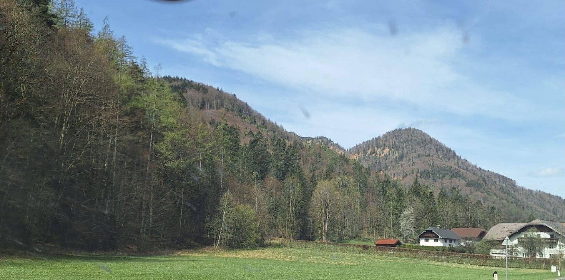 Weitläufige grüne Landschaft mit bewaldeten Bergen und vereinzelten Häusern am Horizont.