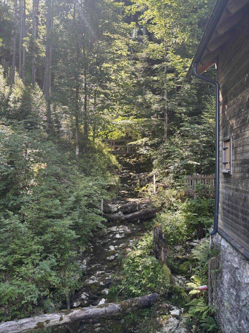 Natürlicher Bachlauf mit Felsen und üppiger Vegetation im Wald neben dem Haus.
