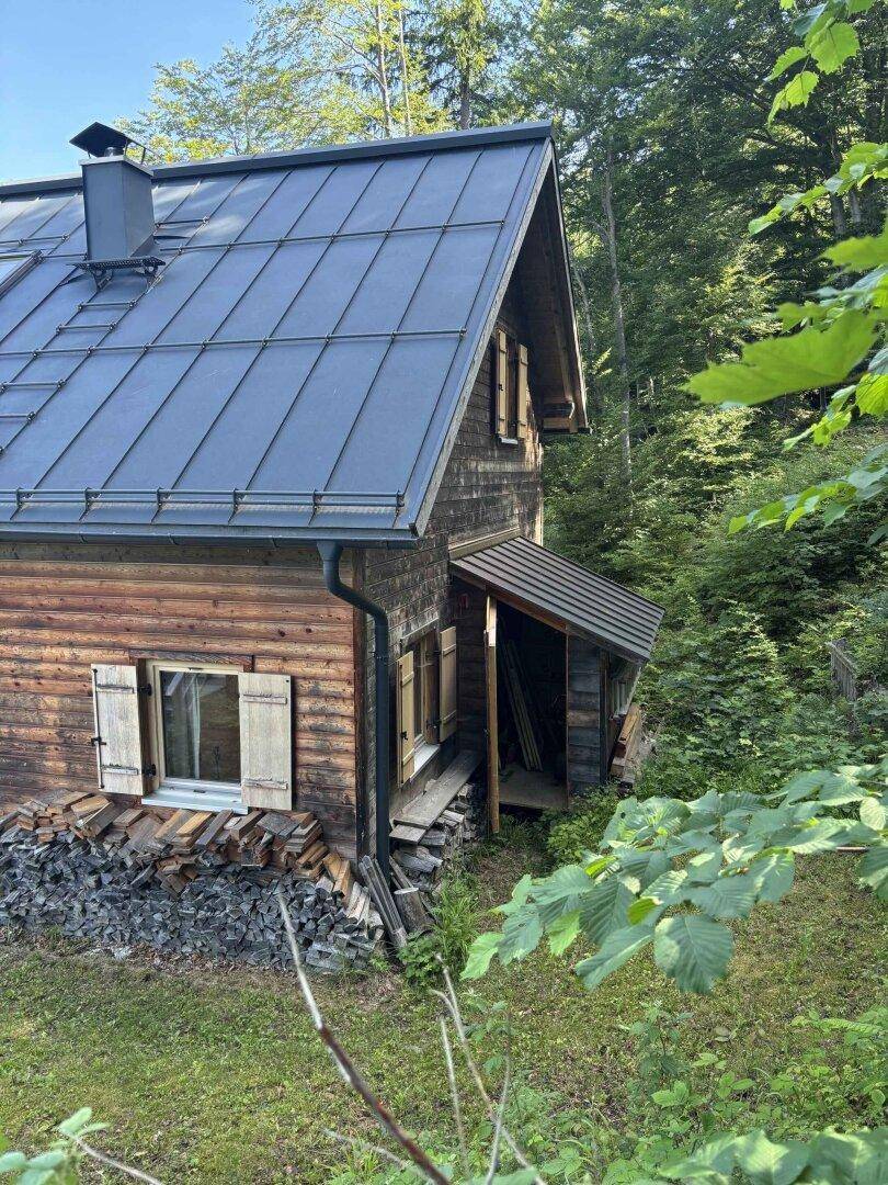 Seitenansicht des Holzhauses mit Holzlager und umgebendem Wald.