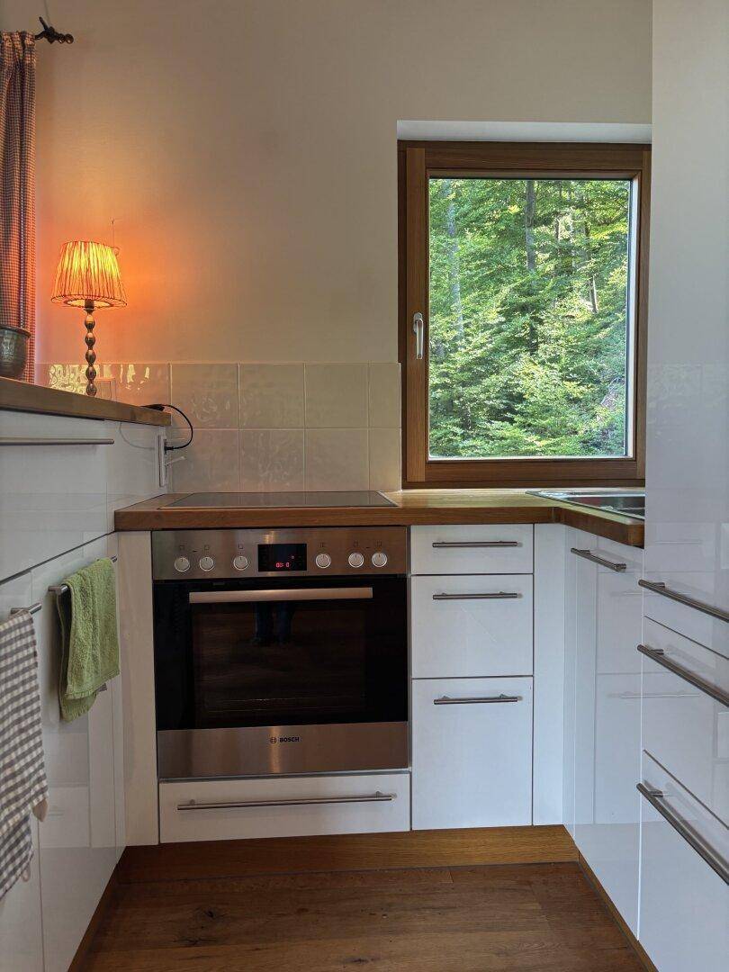 Kleine, moderne Küche mit weißer Front, integriertem Backofen und Fensterblick ins Grüne.