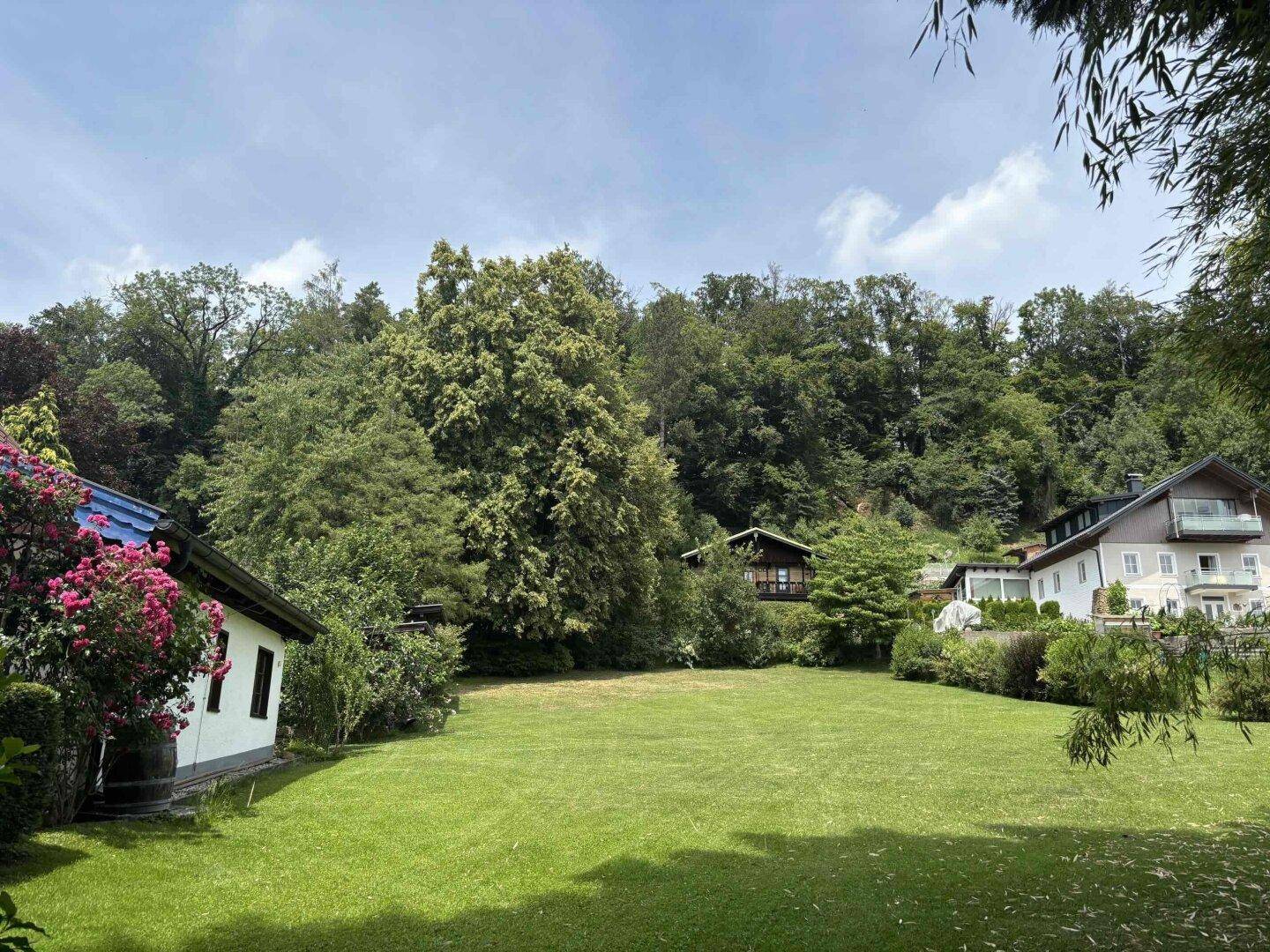 Ausgedehnte Grünfläche mit üppiger Vegetation und weiteren Häusern im Hintergrund unter blauem Himmel.