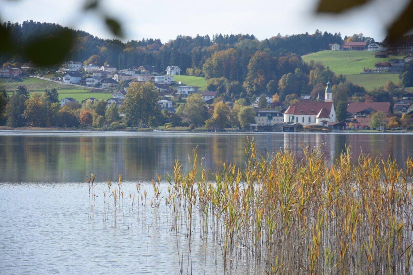 Panoramablick auf einen See mit Schilf und einem malerischen Dorf am gegenüberliegenden Ufer.