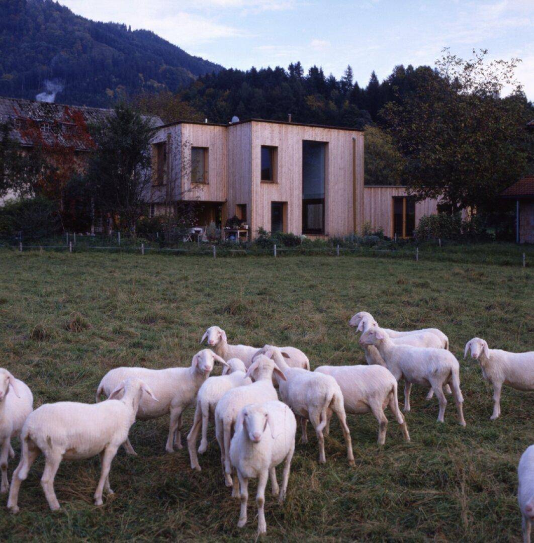Modernes Holzhaus in ländlicher Umgebung mit Schafen auf einer grünen Wiese im Vordergrund.