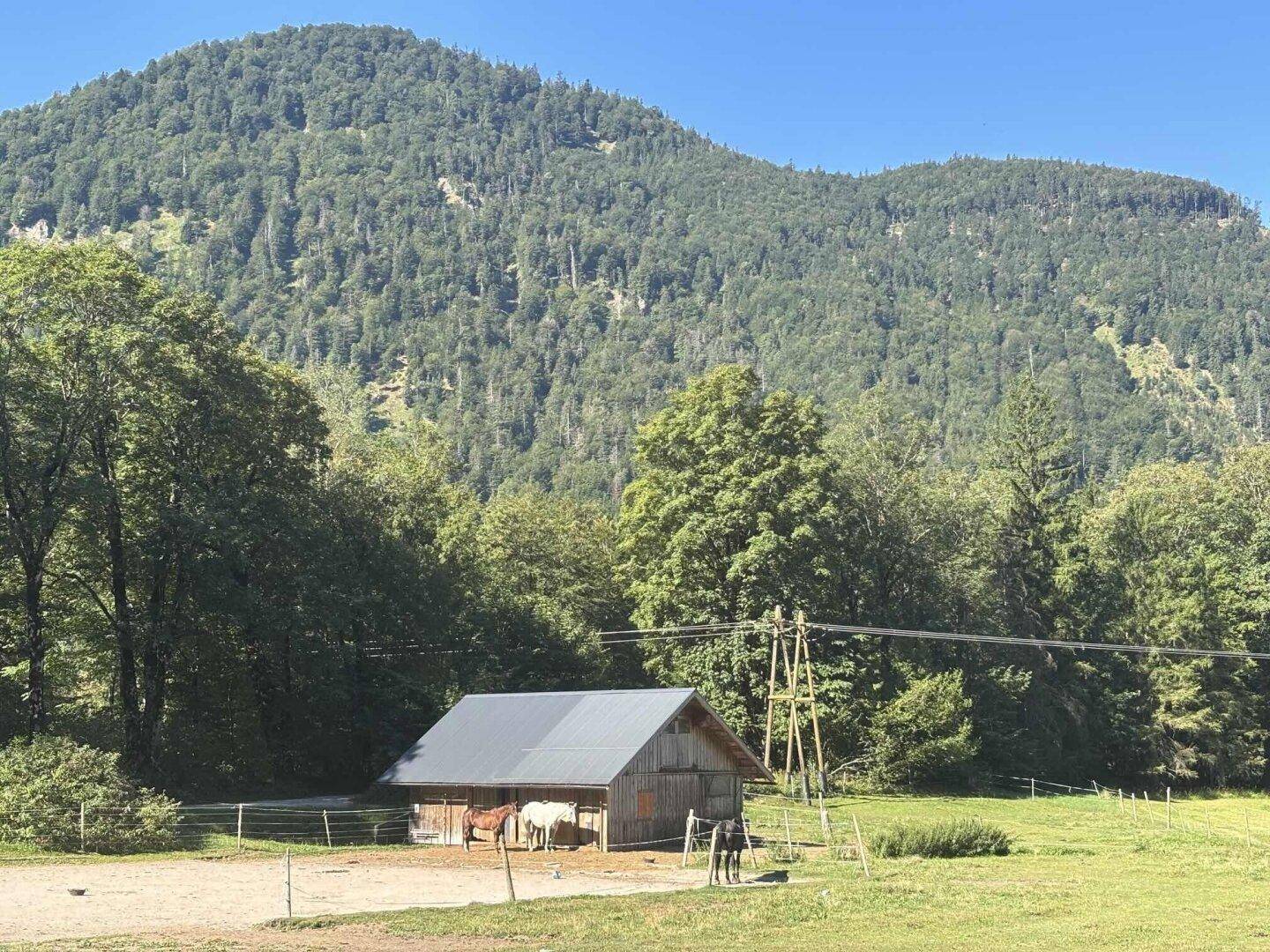 Rustikale Scheune mit Pferden auf einer Weide vor bewaldeten Bergen in ländlicher Idylle.