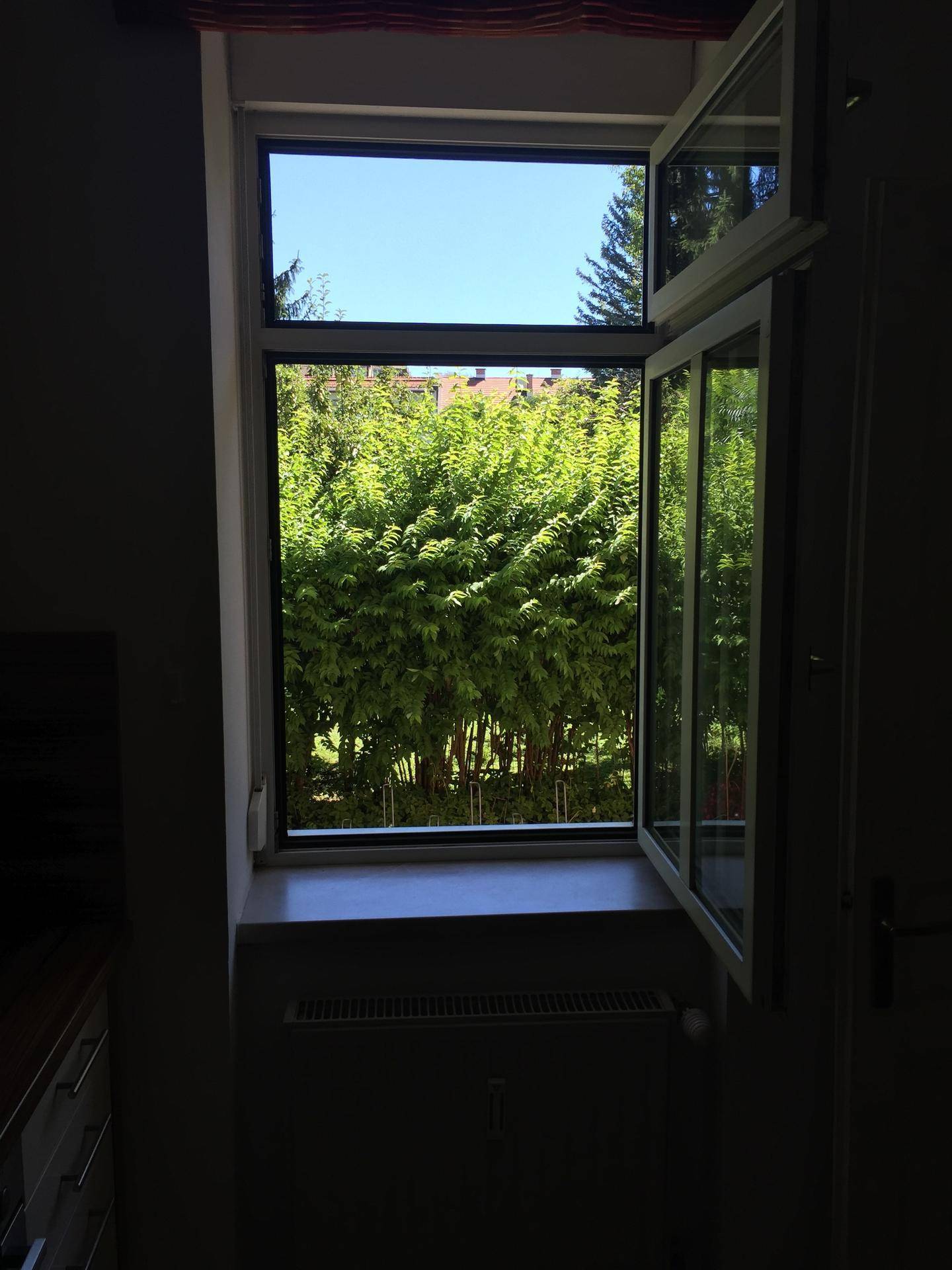 Offenes Fenster mit Blick auf üppiges Grün und Bäume, das viel Tageslicht hereinlässt.