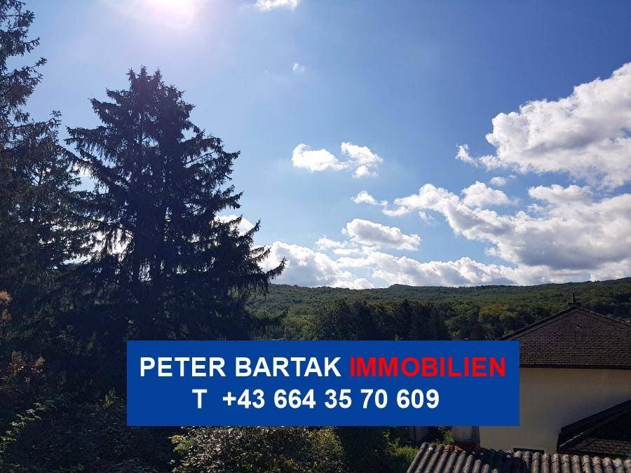 Malerischer Ausblick auf bewaldete Hügel und weiten Himmel.