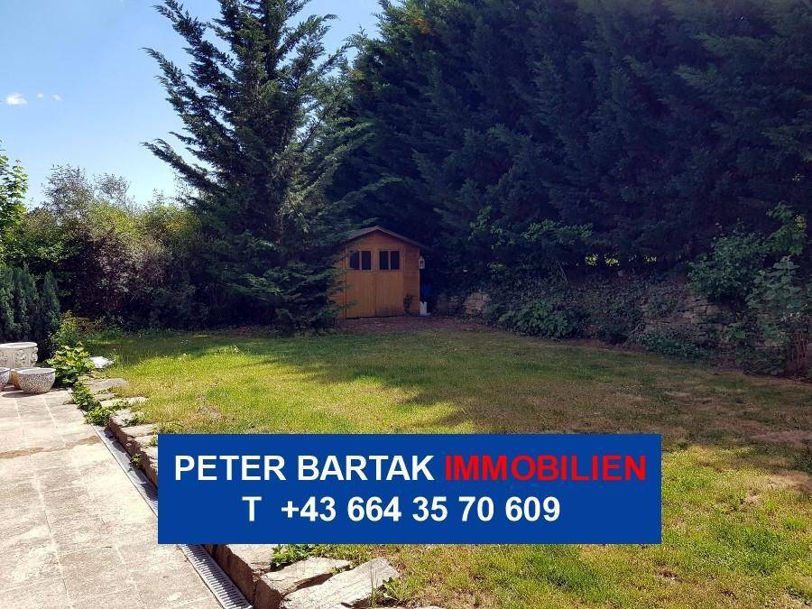 Gepflegter Gartenbereich mit Rasenfläche, hohen Bäumen und einem kleinen Holzschuppen im Hintergrund.