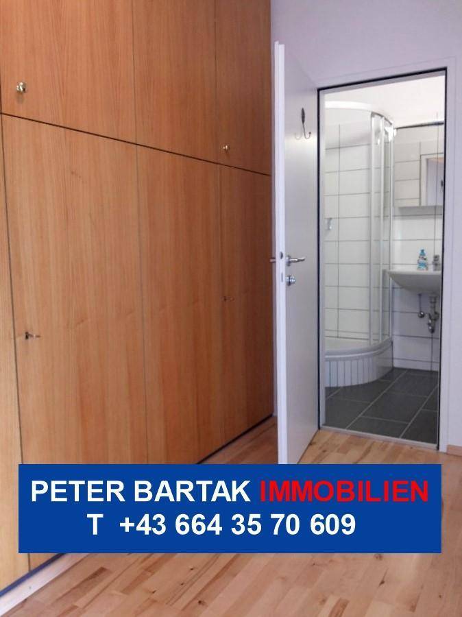 Flur mit integrierten Holzschränken und direktem Zugang zu einem Badezimmer mit Dusche.